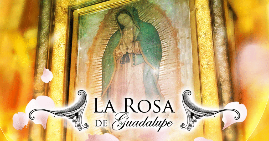 La rose de